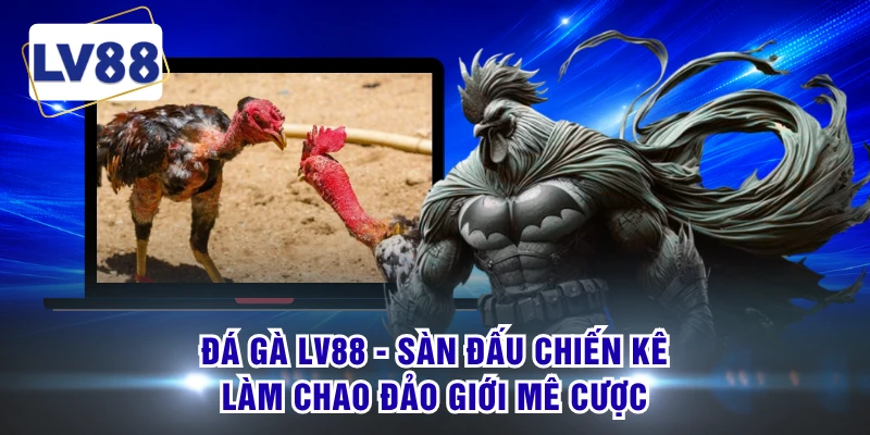 Đá Gà LV88 - Sàn Đấu Chiến Kê Làm Chao Đảo Giới Mê Cược